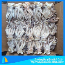 supplier of high quality frozen squid head and squid tentacle